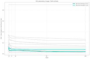 Neurotechnology algorithms performance in NIST ELFT, FBI Laboratory dataset